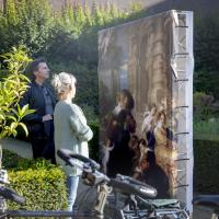 Flemish Masters